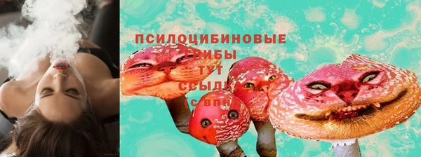 ECSTASY Армянск