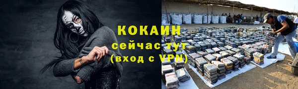 спиды Арсеньев