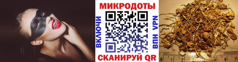 Купить закладки  Александров  Галлюциногенные грибы мухоморы 