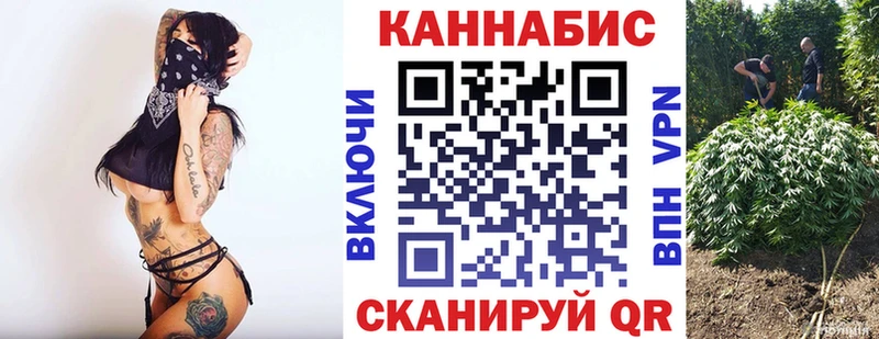 Купить где  Александров  Конопля OG Kush 